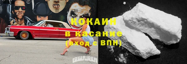гидра Аркадак