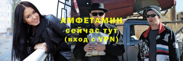 гидра Аркадак